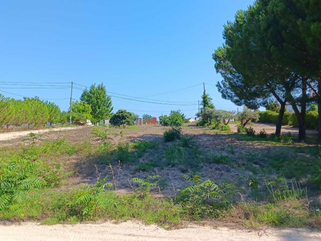 Terreno venda em Coruche