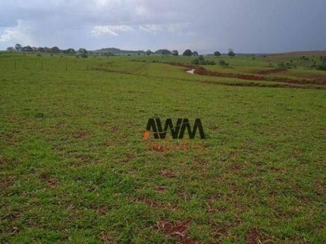 Sítio e chácara venda em Região Geográfica Imediata de Inhumas - Itaberaí - Anicuns, Americano do Brasil