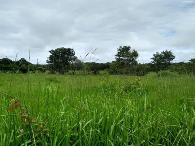 Sítio e chácara venda em Região Geográfica Imediata de Gurupi, Formoso do Araguaia