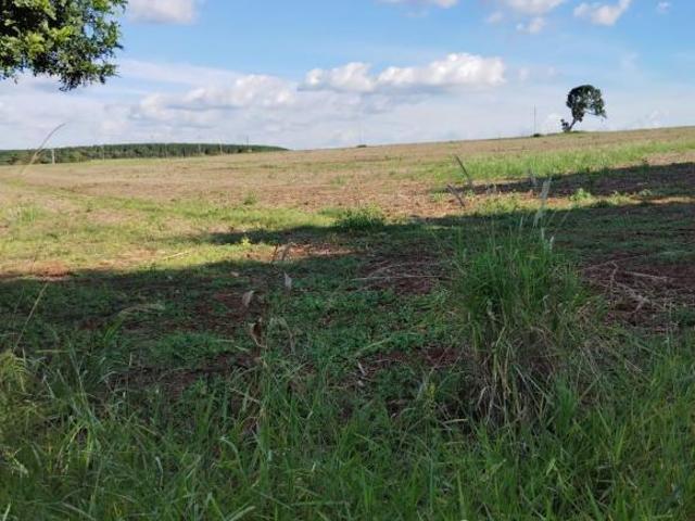 Sítio e chácara venda em Região Imediata de Itapeva, Itapeva