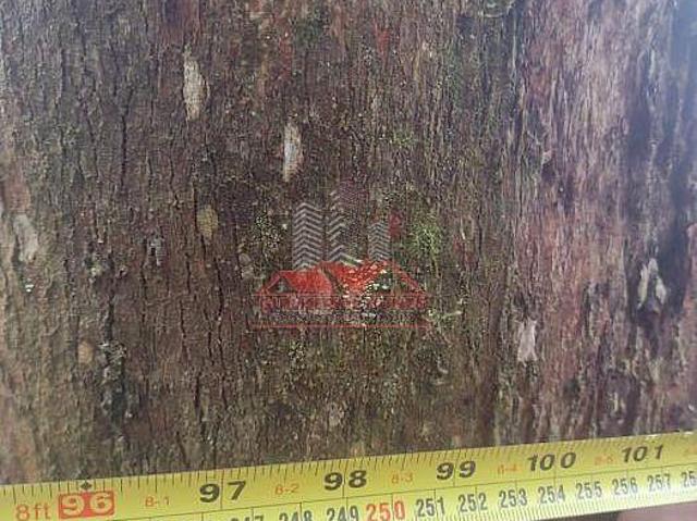 Sítio e chácara venda em Região Geográfica Imediata de Itajubá, Delfim Moreira