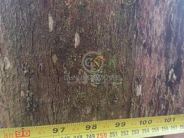 Sítio e chácara venda em Região Geográfica Imediata de Itajubá, Delfim Moreira