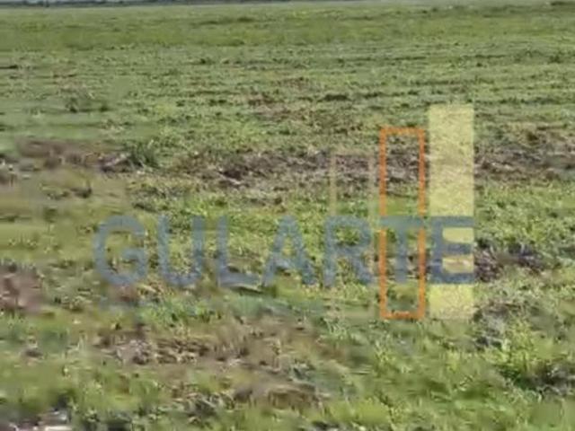 Sítio e chácara venda em Região Geográfica Imediata de São Gabriel - Caçapava do Sul, São Gabriel