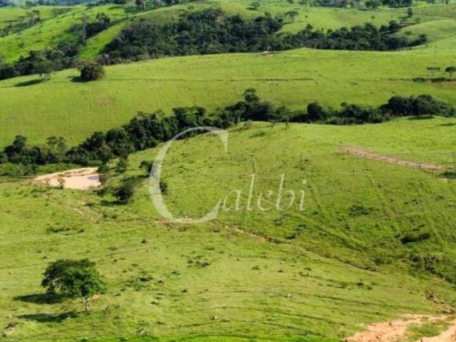 Sítio e chácara venda em Região Imediata de Mogi Guaçu, Itapira