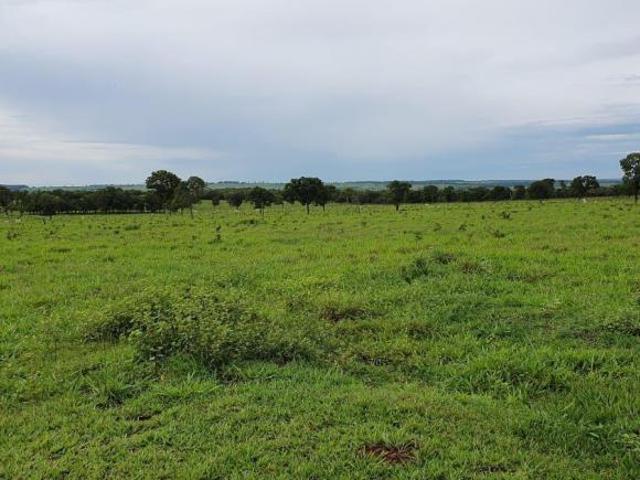 Sítio e chácara venda em Região Geográfica Imediata de Paranaíba - Chapadão do Sul - Cassilândia, Inocência