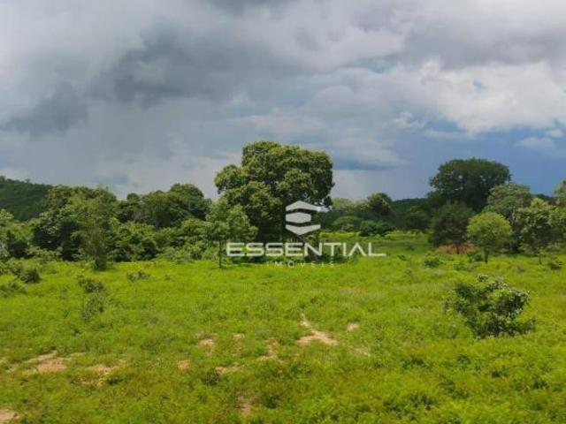 Sítio e chácara venda em Região Geográfica Imediata de Cáceres, Antônio João