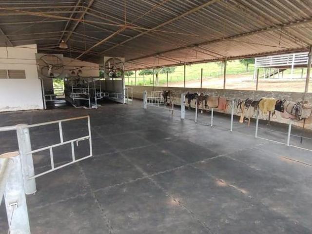 Sítio e chácara venda em Centro, Angatuba