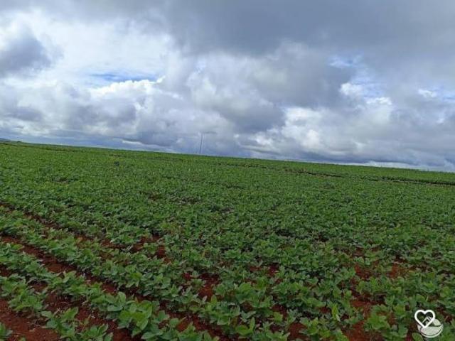 Sítio e chácara venda em Região Geográfica Imediata de Pirapora, Buritizeiro