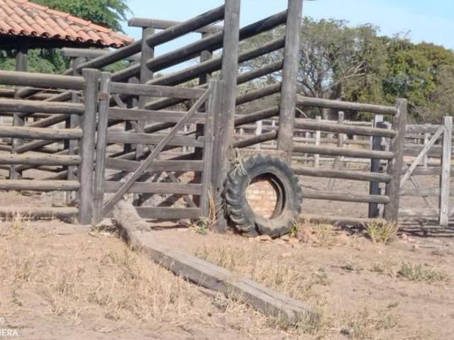 Sítio e chácara venda em Região Geográfica Imediata de Janaúba, Manga