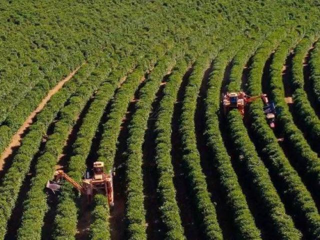 Sítio e chácara venda em Região Imediata de São Paulo, Região Metropolitana de São Paulo
