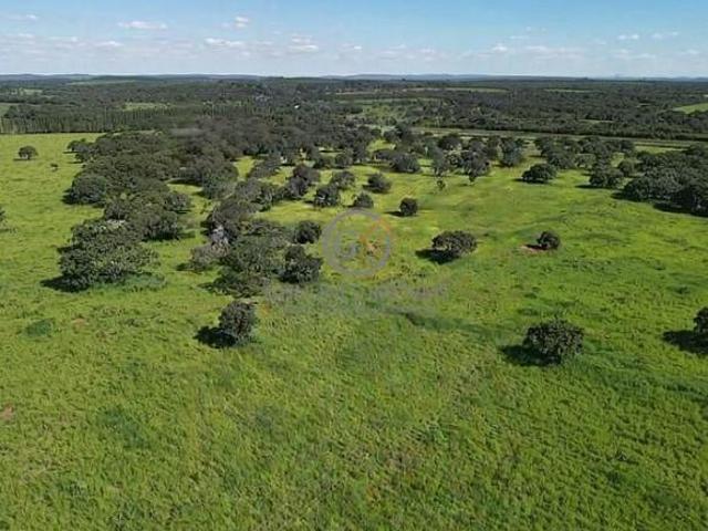 Sítio e chácara venda em Região Geográfica Imediata de Curvelo, Curvelo