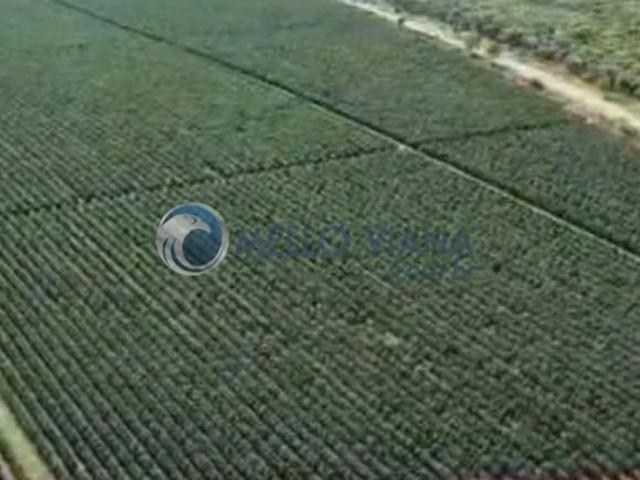 Sítio e chácara venda em Região Geográfica Imediata de Três Pontas - Boa Esperança, Boa Esperança