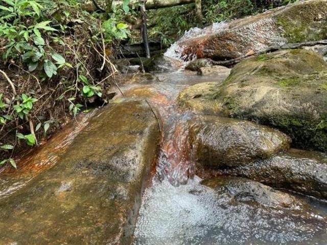 Sítio e chácara venda em Carmópolis de Minas, Região Geográfica Intermediária de Divinópolis