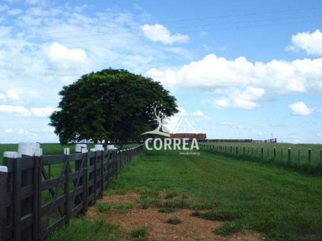 Sítio e chácara venda em Região Imediata de Marília, Marília