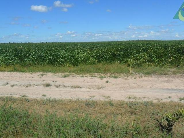 Sítio e chácara venda em Região Geográfica Imediata de Unaí, Bonfinópolis de Minas