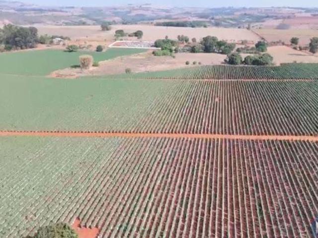 Sítio e chácara venda em Região Geográfica Imediata de Patos de Minas, Patos de Minas