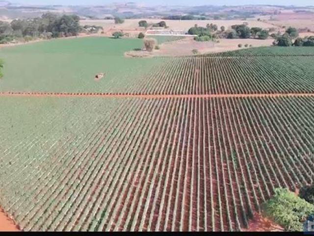 Sítio e chácara venda em Região Geográfica Imediata de Patos de Minas, Patos de Minas