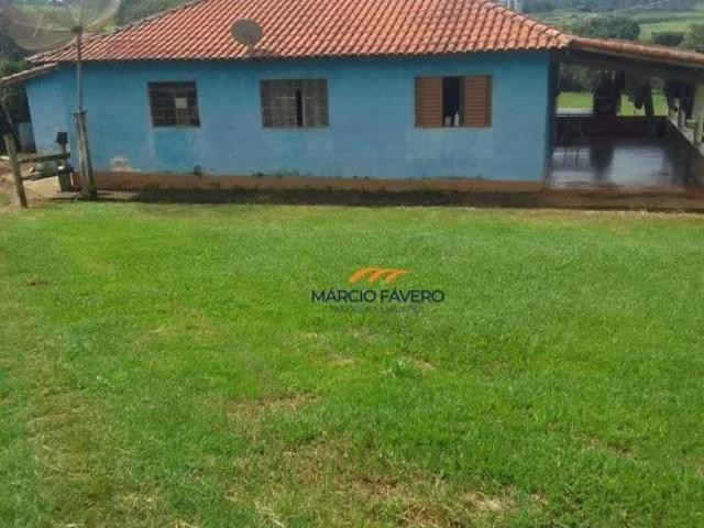 Sítio e chácara venda em Região Imediata de Ribeirão Preto, Região Metropolitana de Ribeirão Preto