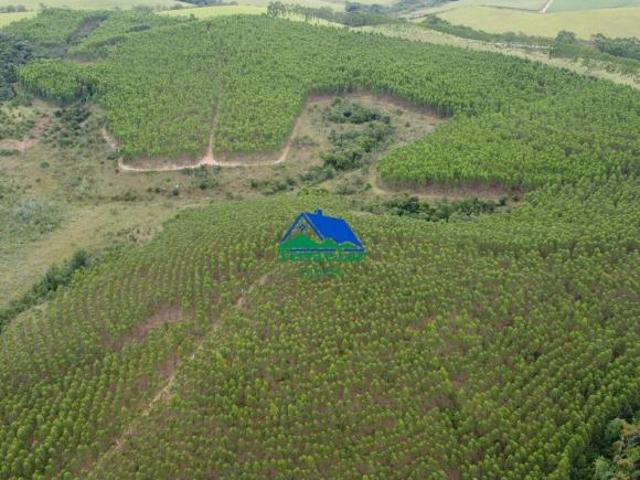 Sítio e chácara venda em Região Geográfica Imediata de Caxambu - Baependi, Aiuruoca
