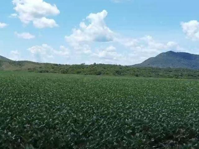 Sítio e chácara venda em Região Geográfica Imediata de Ceres - Rialma - Goianésia, Vila Propício