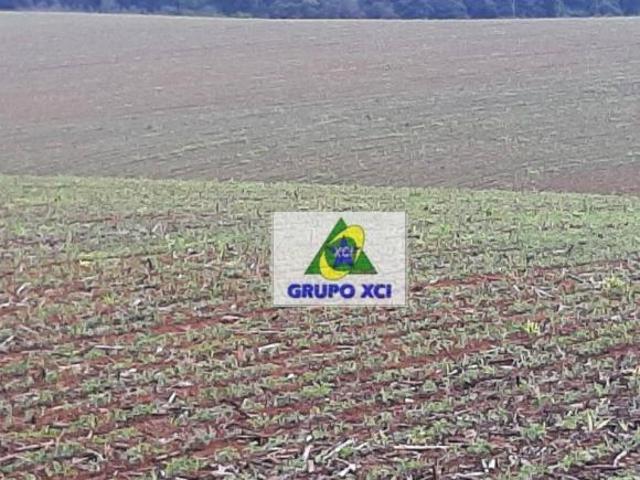 Sítio e chácara venda em Região Geográfica Imediata de Poços de Caldas, Santa Rita de Caldas