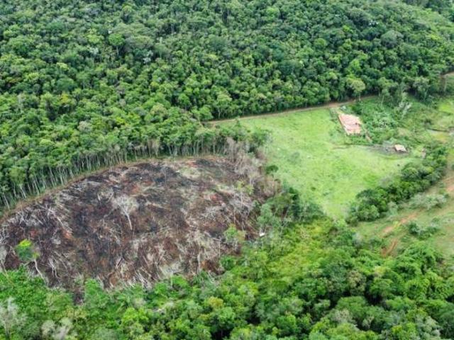 Sítio e chácara venda em Região Geográfica Imediata de Itabira, Carmésia