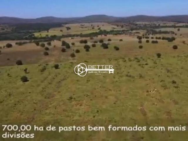 Sítio e chácara venda em Região Geográfica Imediata de Janaúba, Manga