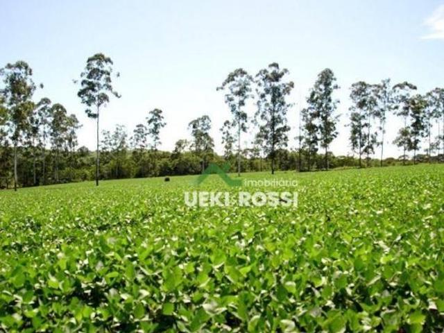 Sítio e chácara venda em Região Geográfica Imediata de Cornélio Procópio-Bandeirantes, Leópolis