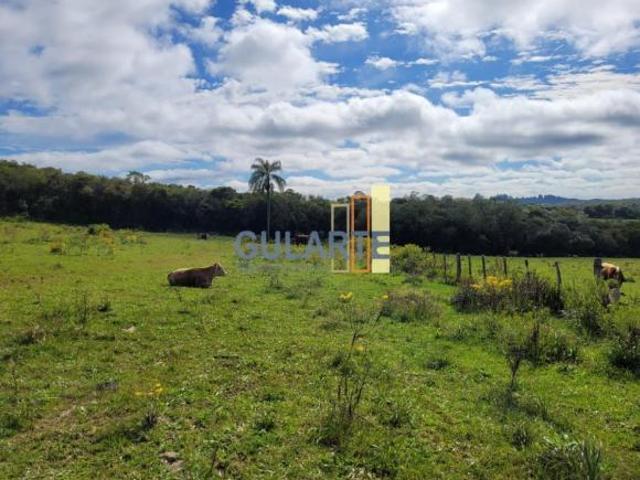 Sítio e chácara venda em Região Geográfica Imediata de Santa Cruz do Sul, Encruzilhada do Sul