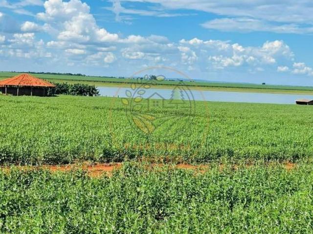 Sítio e chácara venda em Região Geográfica Imediata de São Luís de Montes Belos, São Luís de Montes Belos