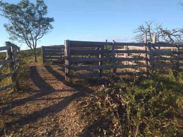 Sítio e chácara venda em Região Geográfica Imediata de Curvelo, Santo Hipólito