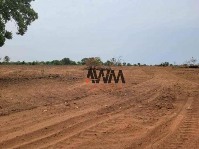 Sítio e chácara venda em Região Geográfica Imediata de Barra do Garças, Pontal do Araguaia