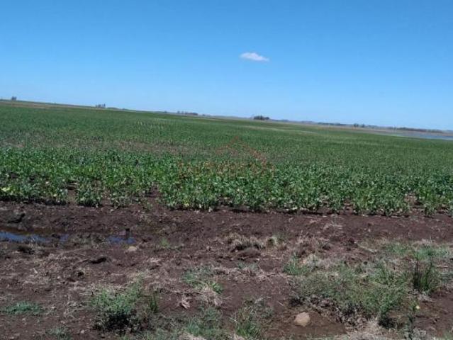 Sítio e chácara venda em Região Geográfica Imediata de Santana do Livramento, Rosário do Sul