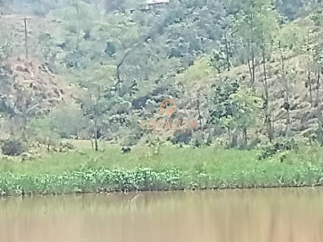 Sítio e chácara venda em Região Imediata de Cruzeiro, Região Metropolitana do Vale do Paraíba e Litoral Norte