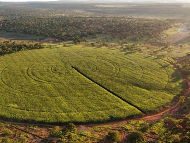 Sítio e chácara venda em Região Geográfica Imediata de Curvelo, Curvelo