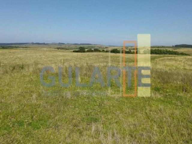 Sítio e chácara venda em Região Geográfica Imediata de Bagé, Região Sul