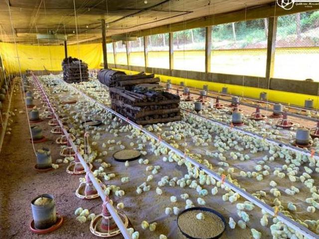 Sítio e chácara venda em Região Imediata de Jundiaí, Cabreuva