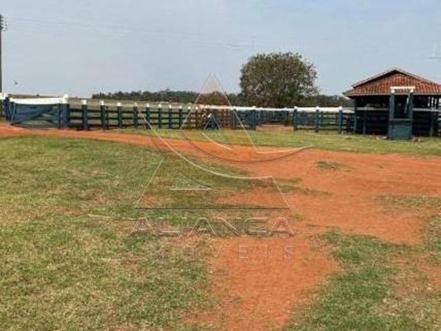 Sítio e chácara venda em Região Imediata de Marília, Marília