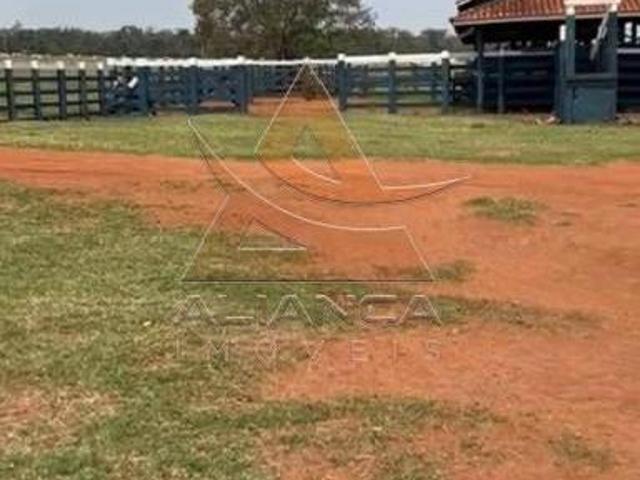 Sítio e chácara venda em Região Imediata de Marília, Marília