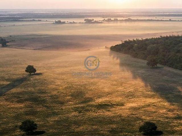 Sítio e chácara venda em Naviraí, Região Geográfica Intermediária de Dourados
