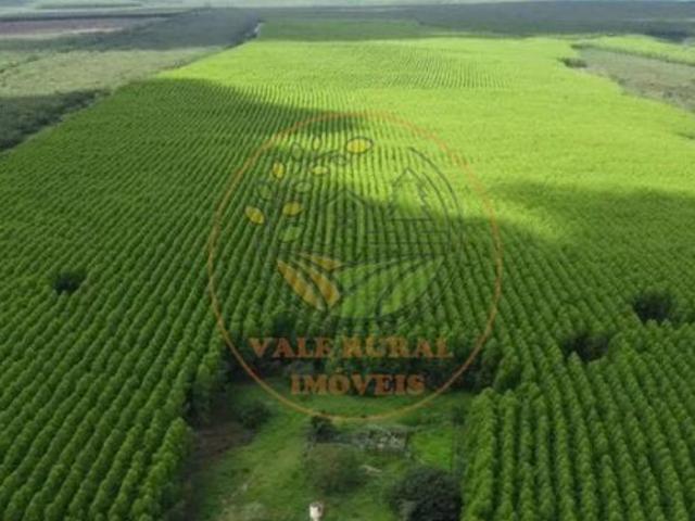 Sítio e chácara venda em Região Geográfica Imediata de Catalão, Catalão