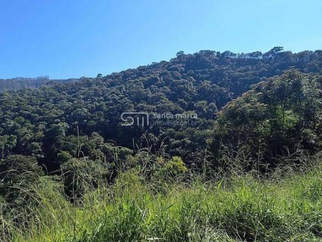 Sítio e chácara venda em Região Imediata de Cruzeiro, Região Metropolitana do Vale do Paraíba e Litoral Norte