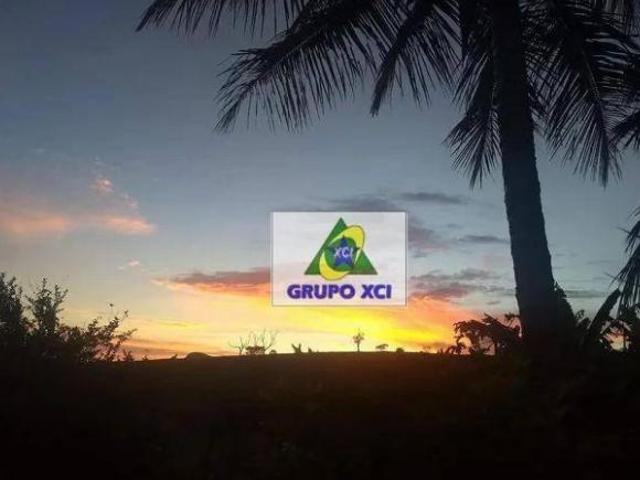 Sítio e chácara venda em Região Geográfica Imediata de Três Pontas - Boa Esperança, Ilicínea