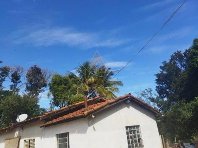 Sítio e chácara venda em Região Imediata de São José do Rio Pardo-Mococa, Região Metropolitana de Ribeirão Preto