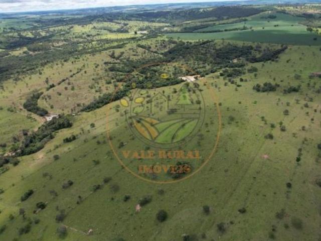 Sítio e chácara venda em Região Geográfica Imediata de Catalão, Ipameri