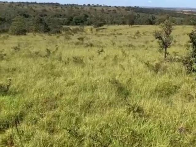 Sítio e chácara venda em Região Geográfica Imediata de Abaeté, Abaeté