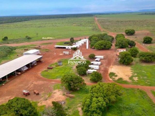 Sítio e chácara venda em Região Geográfica Imediata de Confresa - Vila Rica, Confresa