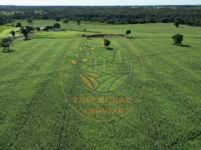 Sítio e chácara venda em Região Geográfica Imediata de Goiânia, Goiânia