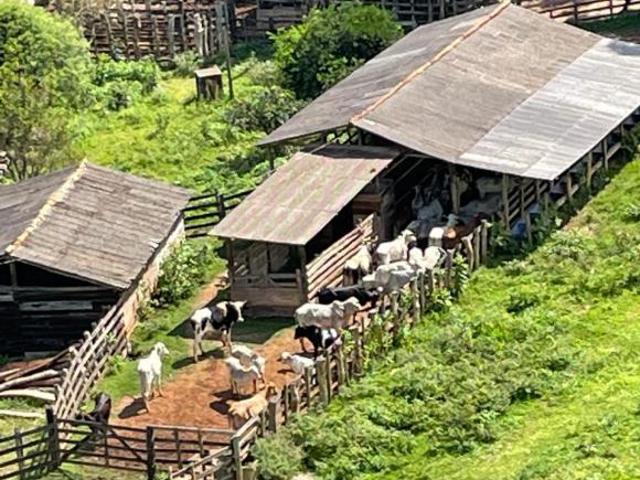Sítio e chácara venda em Região Geográfica Imediata de Viçosa, Porto Firme