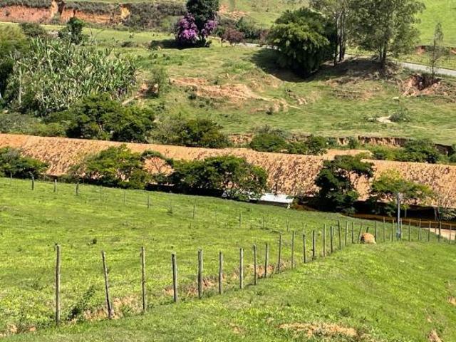 Sítio e chácara venda em Região Geográfica Imediata de Viçosa, Porto Firme